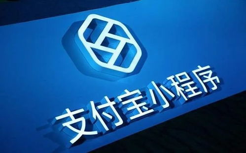 扩散｜泰达司机们，支付宝也能交罚款了！最全攻略与信息咨询服务
